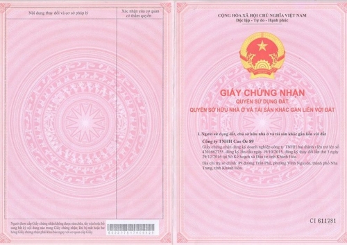 Dragon-fairy-Nha-Trang-pink-book-1